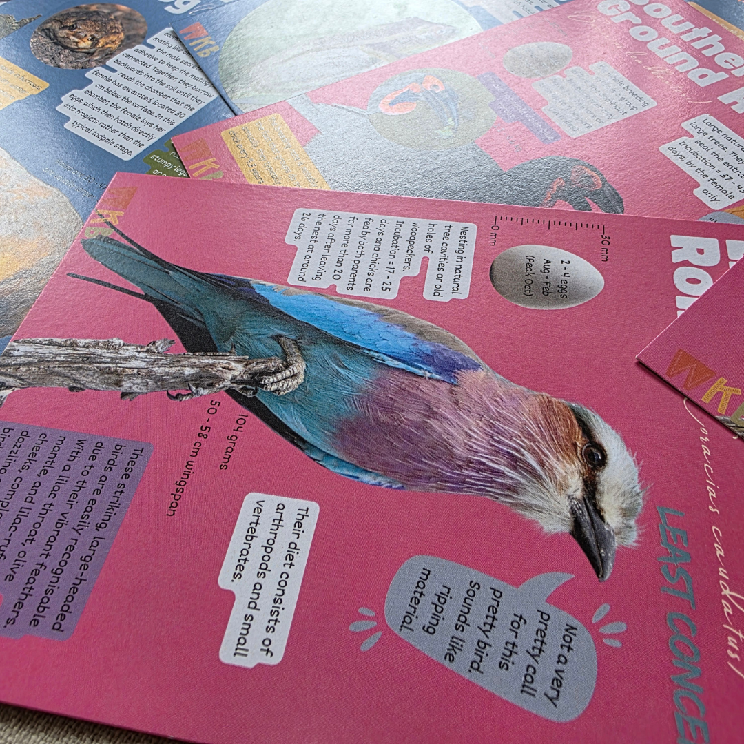 Conservation Cards (Set 1, 30 cards)