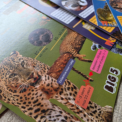Conservation Cards (Set 1, 30 cards)