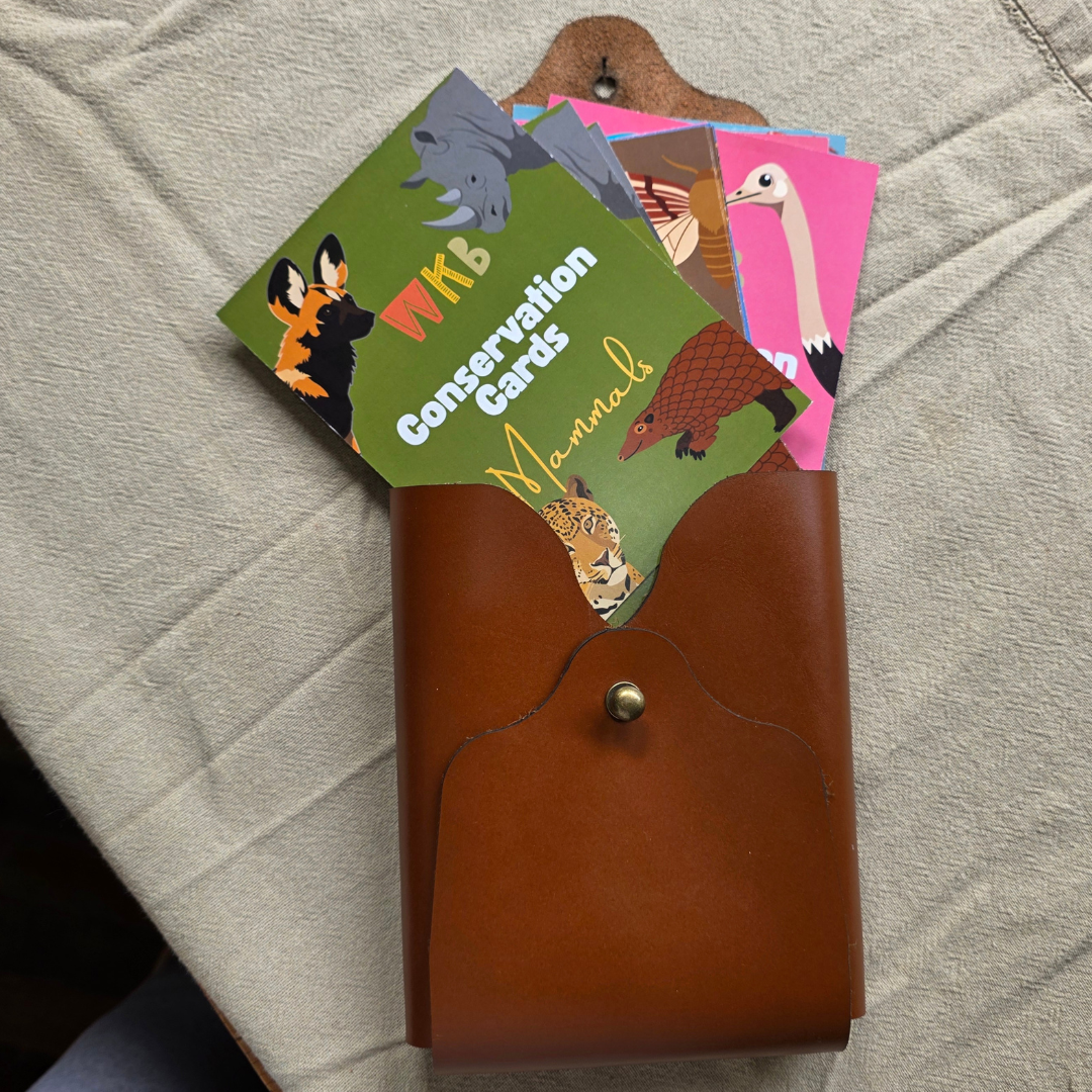 Conservation Cards (Set 1, 30 cards)