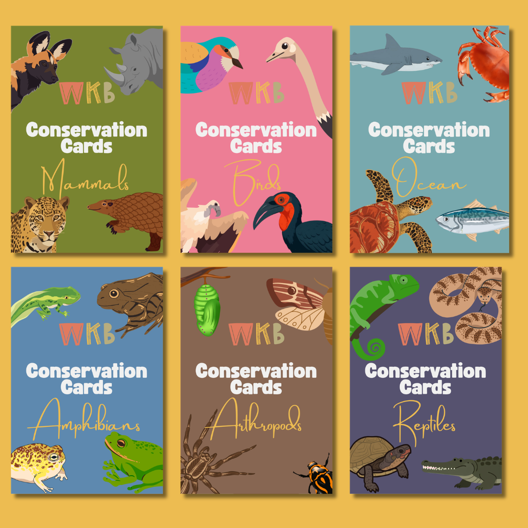 Conservation Cards (Set 1, 30 cards)
