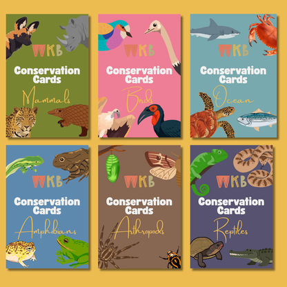 Conservation Cards (Set 1, 30 cards)