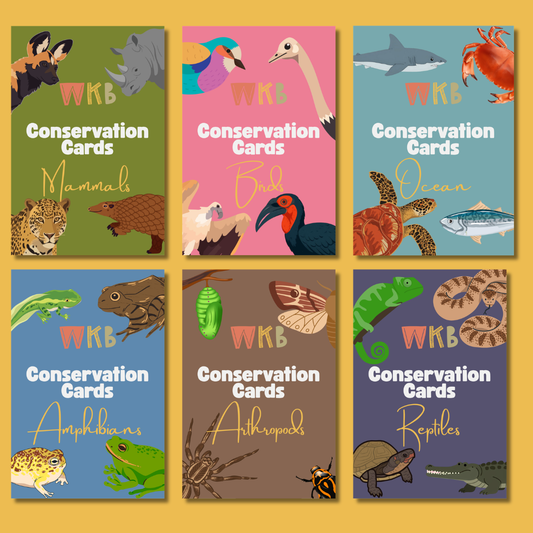Conservation Cards (Set 1, 30 cards)