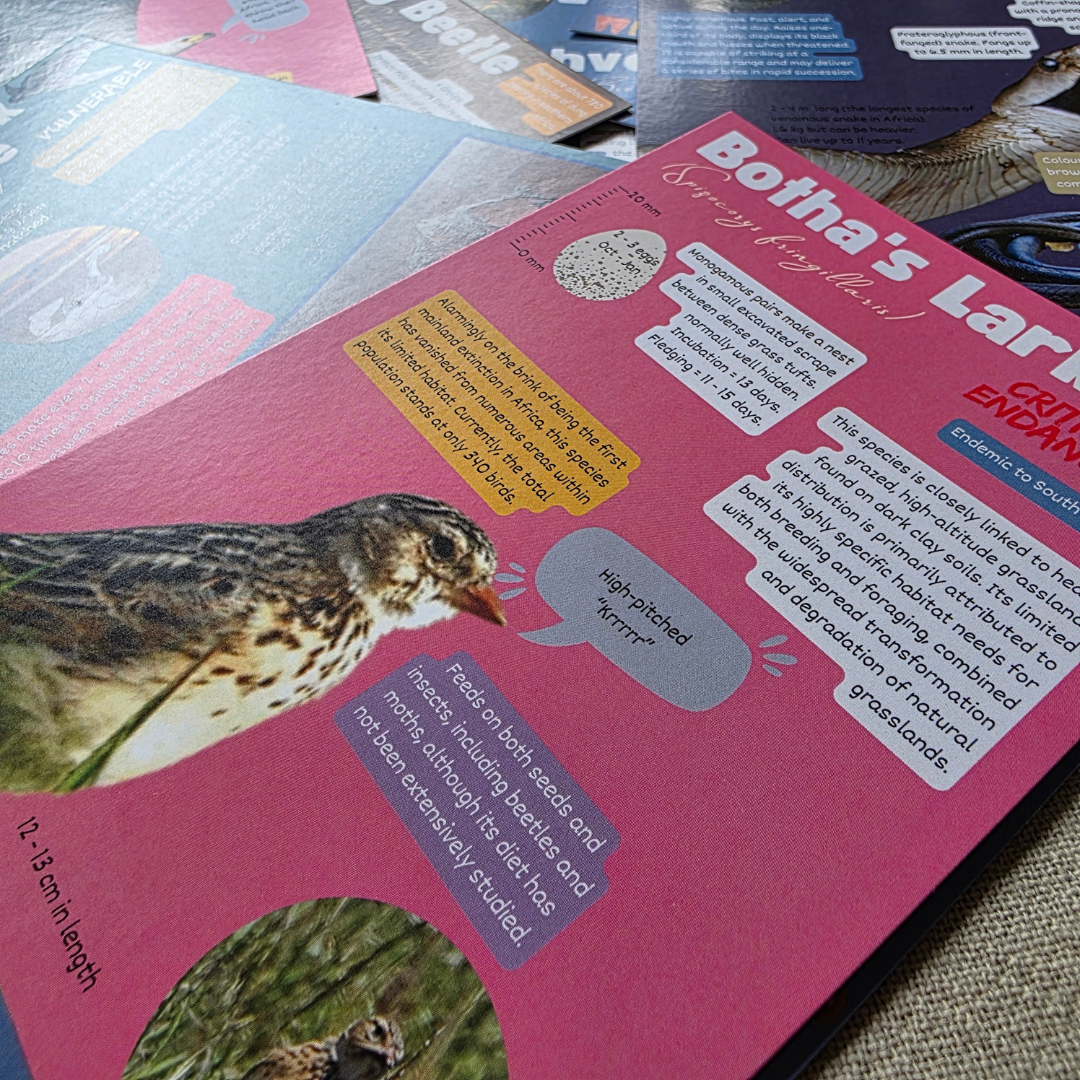 Conservation Cards (Set 1, 30 cards)