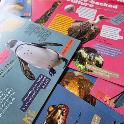 Conservation Cards (Set 1, 30 cards)