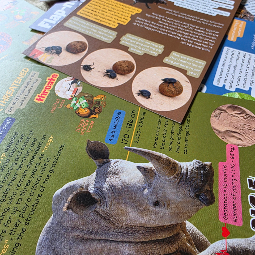 Conservation Cards (Set 1, 30 cards)