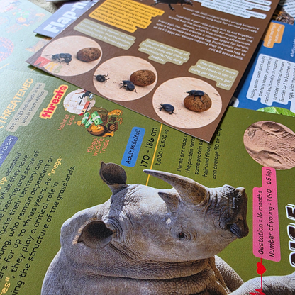 Conservation Cards (Set 1, 30 cards)
